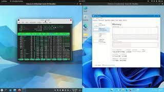 Kubuntu 21.10 vs Windows 11 RAM