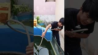 JANGAN SALAH! INI CARA SIMPEL KURAS KOLAM