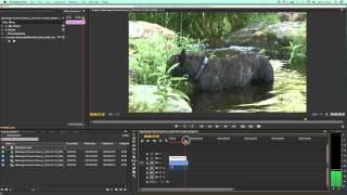 Tutorial - Edit Blackmagic Raw Fast and Easy in Premiere Pro