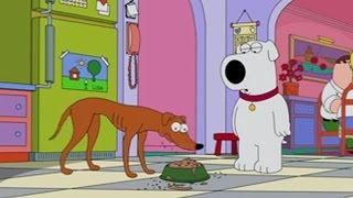 Family Guy / The Simpsons Crossover: Brian Meets Santa's Little Helper