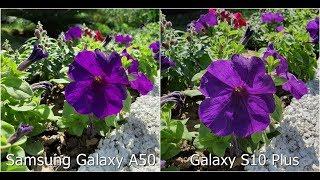 Samsung Galaxy A50 vs Galaxy S10 Plus Camera Comparison