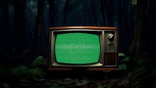 Green Screen Retro TV in Dark Forest | 4K | Global Kreators