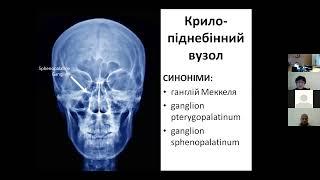 Симпатичні блокади в практиці анестезіолога. У.А. Фесенко