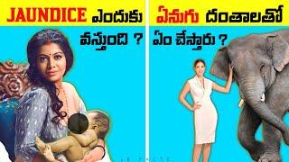 Top 10 Interesting Facts in Telugu | Unknown & Amazing Facts | Telugu Facts || LR Facts Ep:50