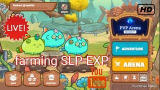 AXIE INFINITY || Adventure time farming SLP-EXP || WinslowMaster