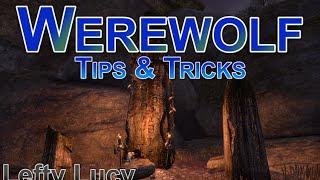 How to Use Werewolf in ESO | Pro Tips and Tricks | WW Guide & Gameplay