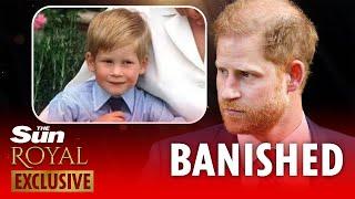 I watched Prince Harry grow up - I know why he won't EVER return to royal life