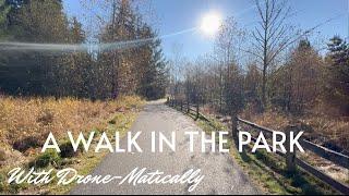 A Walk Down Memorial Trail. #new #nature #walking #4k #park #Fall