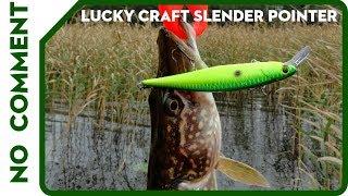 Lucky Craft Slender Pointer 127 MR. Pike fishing.