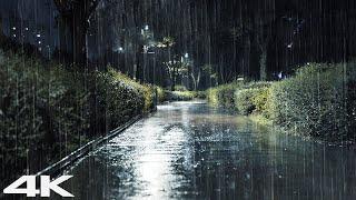 Deep Sleep Instantly With Soft Rain On Walkway At Night Relaxing Rain Sounds For Sleep & Stress