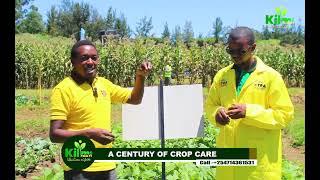 Why do most Farmers Fail in their Agricultural Projects??? A CENTURY OF CROP CARE with CKL Africa