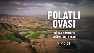 Polatlı Ovası'nda Buğday Hasadı