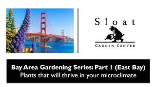 Bay Area Gardening Series: Plants that will thrive in your microclimate