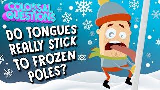 Do Tongues Really Stick To Frozen Poles? | COLOSSAL QUESTIONS