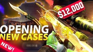 THESE BRAND NEW CASES HAVE INSANE POTENTIAL!!  1500$ DATDROP