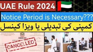Visa Rules 2024 || UAE Company Change or Visa Cancel Rule || Will employee get 30-day salary?