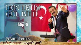 Ekin Ektim Gül Bitti - Selami Ferses [ Gönül Dağı Dizi Müzikleri  © 2022 Köprü ]