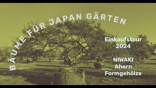 Bäume für einen Japan Garten