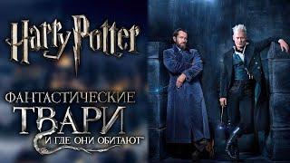 Гарри Поттер и Фантастические твари | Связь между фильмами