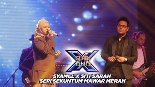 Syamel X Siti Sarah - Sepi Sekuntum Mawar Merah l Suria Duo X