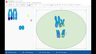 Creating an Animation with Google Drawings and EZGif