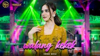 WALANG KEKEK - Irene Ghea Adella - OM ADELLA