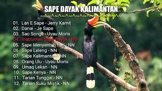 Sape Dayak Kalimantan