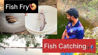 Fish Catching| Fish Fry | Kicha Village Vlogs | KVV