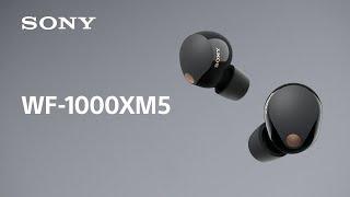 Sony Noise Cancelling Headphones WF-1000XM5 Product Video (with Audio Description) | Official Video