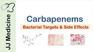 Carbapenems | Bacterial Targets, Mechanism of Action, Side Effects