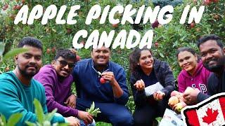 LET's GO TO THE VALLEY OF APPLES!! | APPLE PICKING IN CANADA