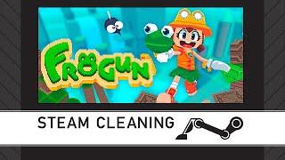 Steam Cleaning - Frogun