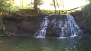 Wieslauftalschlucht hoch bis zum unteren Wasserfall bei der Klingenmühle