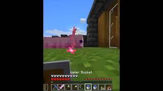 I Survived 100 Days as an AXOLOTL in Hardcore Minecraft #Short 19