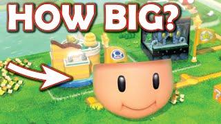 How big can you make Toad's face in Super Mario 3D World + Bowser's Fury? [Super Mario 3D World mod]