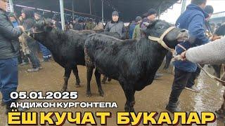 5 ЯНВАР ЁШ КУЧАТ БУКАЛАР АНДИЖОН КУРГОНТЕПА ШВЕТЛАР МАКОНИ 2025