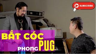 Johnny Được Bắt Cóc PhongPUG #JOHNNYDANG #KHOAPUG - Vũ Râu, Phong Lê