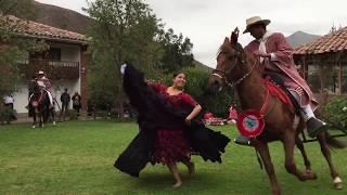 Peruvian Paso Horse and Marinera Dance