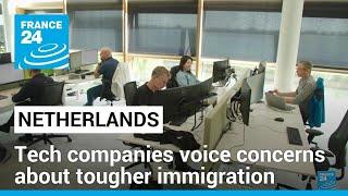 Dutch tech companies voice concern at plans for tougher stance on immigration • FRANCE 24 English