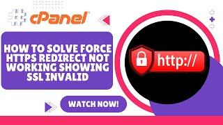 How to Fix Solve Force HTTP to HTTPS Redirect Errors in Minutes