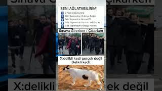 Delikli Kedi @SenihX