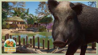 Wild Boar Habitat! | Mesa Gardens Zoo | Planet Zoo Franchise Lets Play