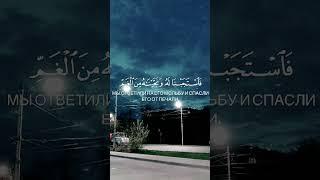 Билал Дарбали Сура Аль-Анбийя аяты 87-89 #shorts #quran