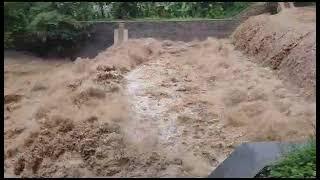 banjir rob di sungai sedah jenangan ponorogo awal januari 2024#viral #video #short