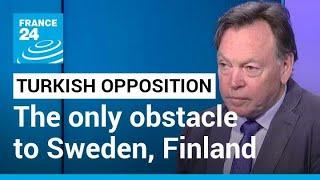 Potential Turkish opposition looks like only obstacle to Sweden, Finland joining NATO • FRANCE 24