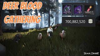 BDO Deer Blood Gathering Guide 2024 - 700M profit in 30min