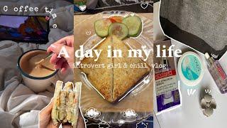 A Day in my life | Aesthetic vlog Pakistani| life of introvert girl | productive and chill vlog