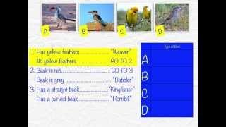 Using Dichotomous Keys