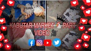 ll kabutar ️market  ll  kabootar mandi video  ll#kabutarmarket #kabutarmandi #shortvideo #kabutar