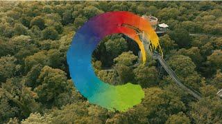 The sound of inner balance: yoga on the canopy walk